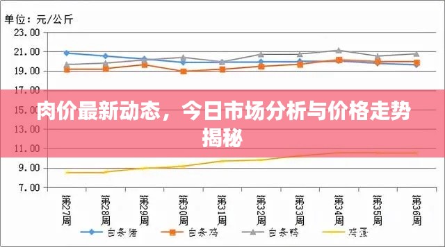 肉价最新动态，今日市场分析与价格走势揭秘