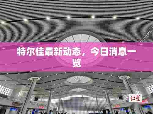 特尔佳最新动态,今日消息一览