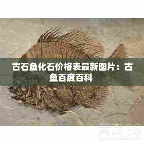 古石鱼化石价格表最新图片：古鱼百度百科 
