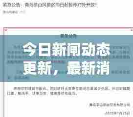 今日新闸动态更新，最新消息汇总
