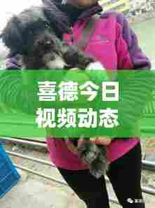 喜德今日视频动态,最新消息一网打尽!