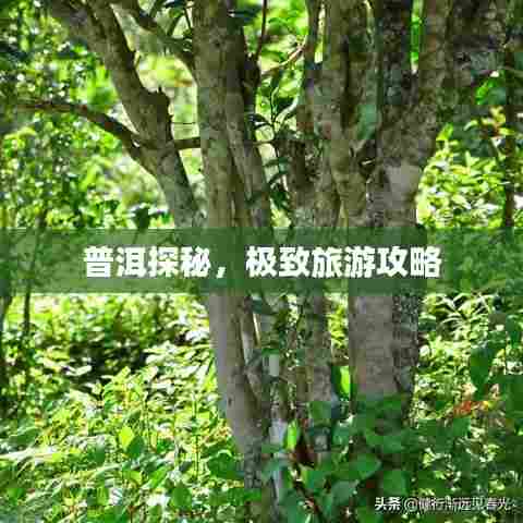 普洱探秘,极致旅游攻略