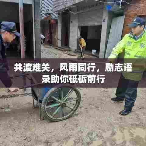 富贵不能淫 第3页