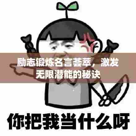 励志锻炼名言荟萃,激发无限潜能的秘诀