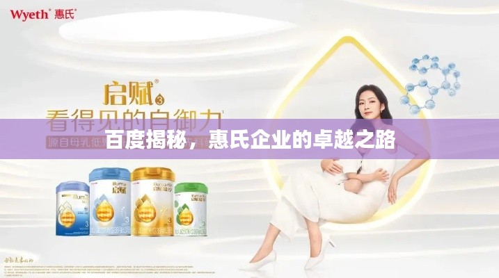 百度揭秘,惠氏企业的卓越之路
