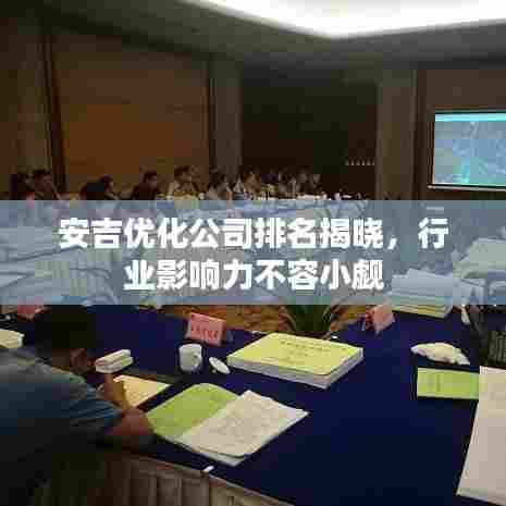 安吉优化公司排名揭晓,行业影响力不容小觑