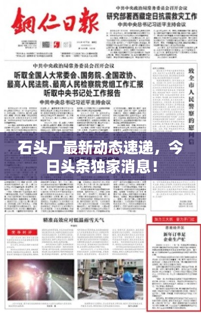 石头厂最新动态速递,今日头条独家消息!