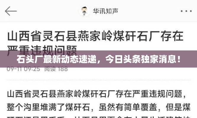 石头厂最新动态速递,今日头条独家消息!