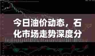 今日油价动态,石化市场走势深度分析与预测