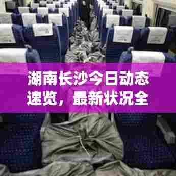 湖南长沙今日动态速览,最新状况全知道