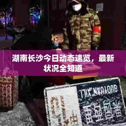 湖南长沙今日动态速览,最新状况全知道