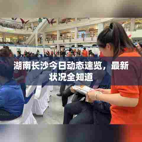 湖南长沙今日动态速览,最新状况全知道