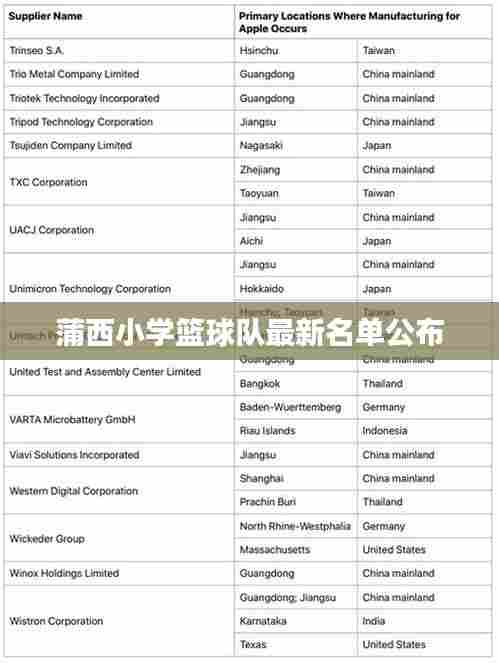 蒲西小学篮球队最新名单公布