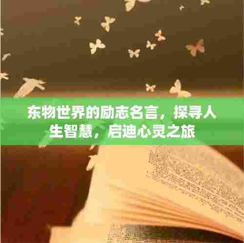 东物世界的励志名言，探寻人生智慧，启迪心灵之旅