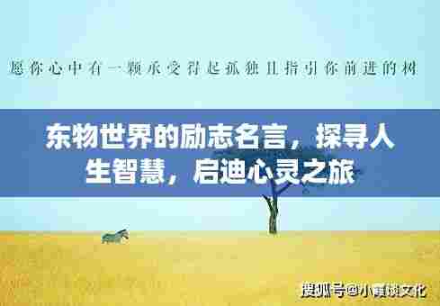 东物世界的励志名言,探寻人生智慧,启迪心灵之旅