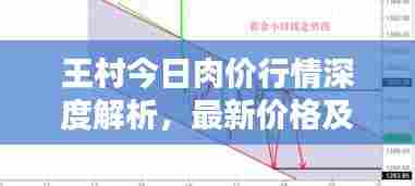 王村今日肉价行情深度解析,最新价格及走势分析