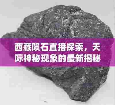 火伞高张 第4页