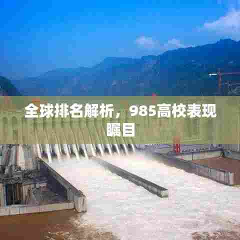 全球排名解析，985高校表现瞩目