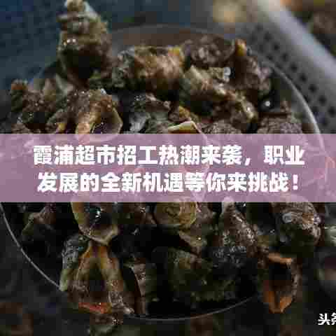 霞浦超市招工热潮来袭,职业发展的全新机遇等你来挑战!