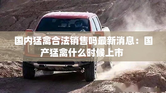 国内猛禽合法销售吗最新消息：国产猛禽什么时候上市 