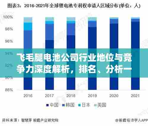 飞毛腿电池公司行业地位与竞争力深度解析,排名、分析一览无余