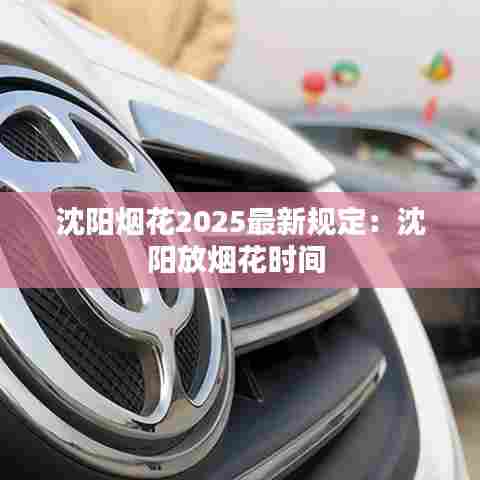 沈阳烟花2025最新规定:沈阳放烟花时间