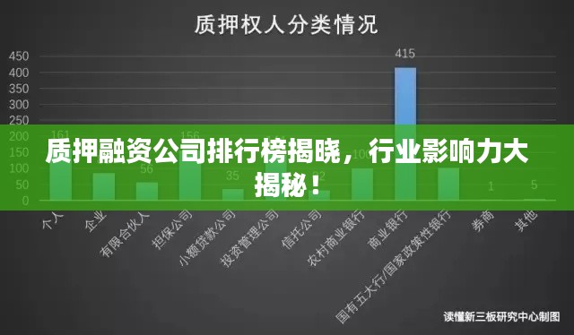 质押融资公司排行榜揭晓，行业影响力大揭秘！