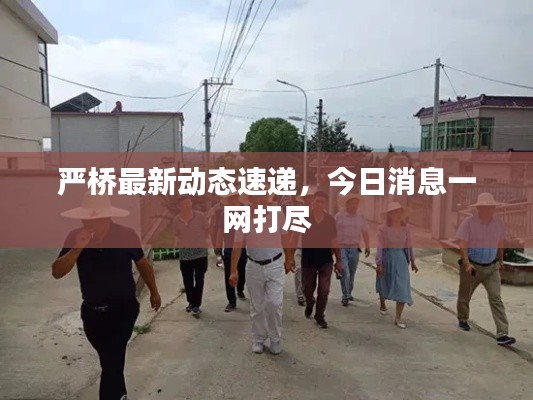 严桥最新动态速递，今日消息一网打尽