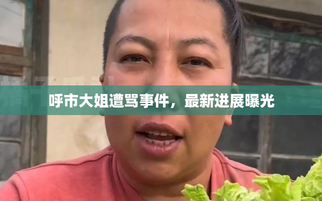 呼市大姐遭骂事件,最新进展曝光