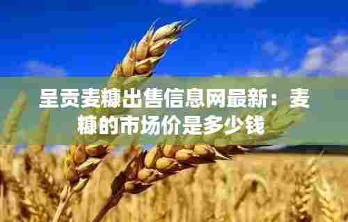呈贡麦糠出售信息网最新：麦糠的市场价是多少钱 