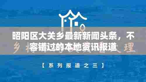 昭阳区大关乡最新新闻头条,不容错过的本地资讯报道