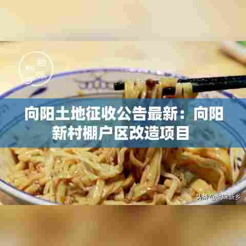 向阳土地征收公告最新：向阳新村棚户区改造项目 