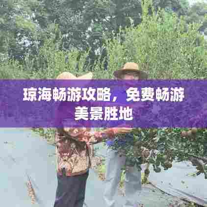 琼海畅游攻略,免费畅游美景胜地