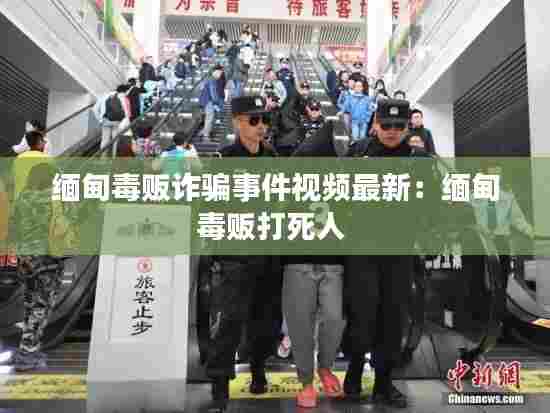 缅甸毒贩诈骗事件视频最新:缅甸毒贩打死人