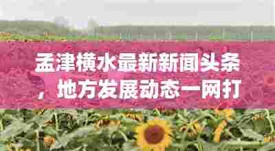 孟津横水最新新闻头条,地方发展动态一网打尽