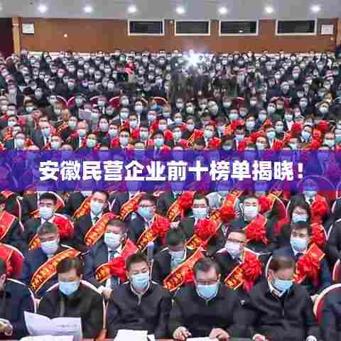 安徽民营企业前十榜单揭晓！
