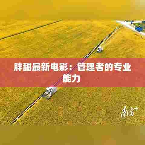 胖甜最新电影：管理者的专业能力 