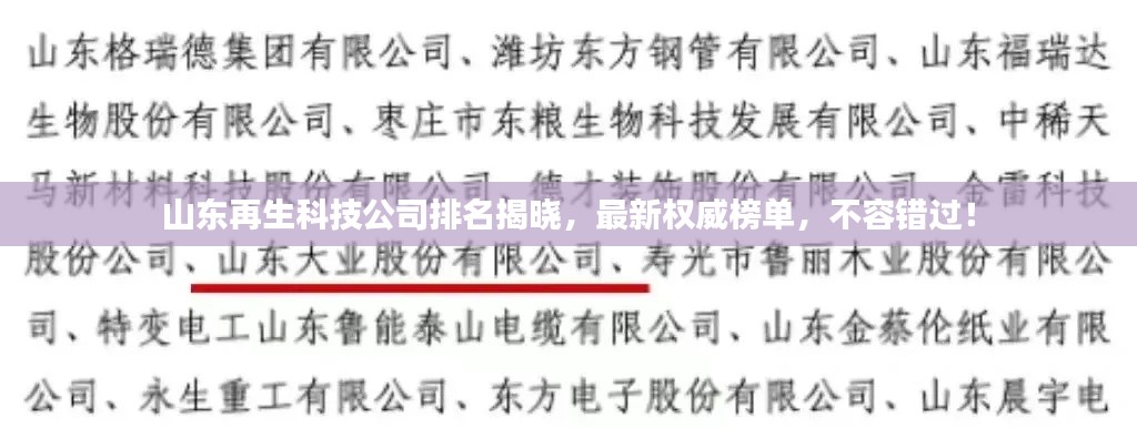 山东再生科技公司排名揭晓，最新权威榜单，不容错过！