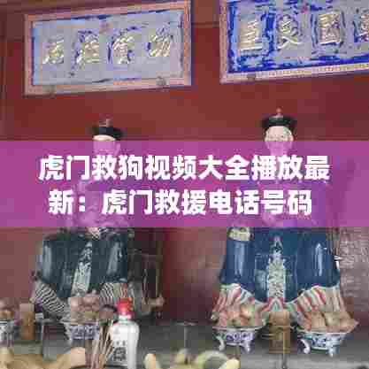 虎门救狗视频大全播放最新:虎门救援电话号码