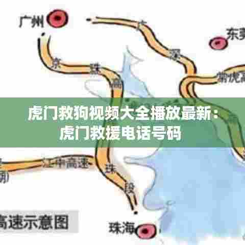 虎门救狗视频大全播放最新:虎门救援电话号码