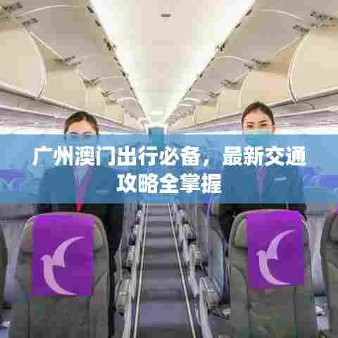 广州澳门出行必备,最新交通攻略全掌握