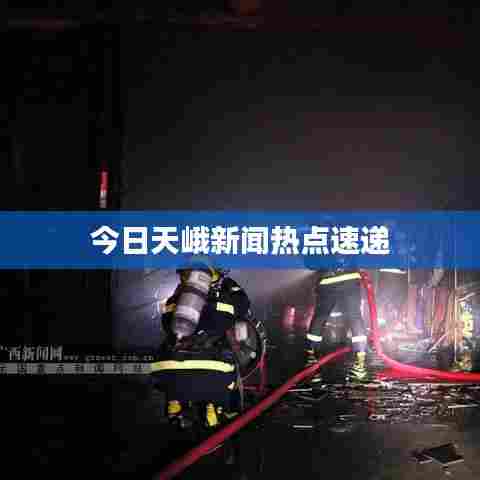 今日天峨新闻热点速递