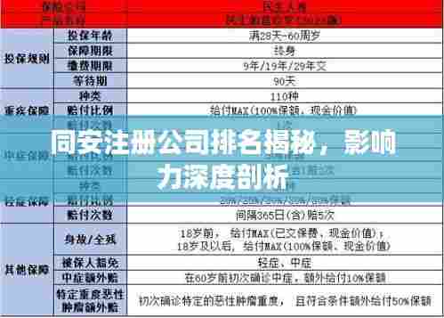 同安注册公司排名揭秘，影响力深度剖析