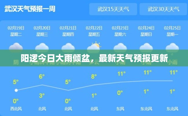 阳逻今日大雨倾盆,最新天气预报更新