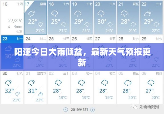 阳逻今日大雨倾盆，最新天气预报更新
