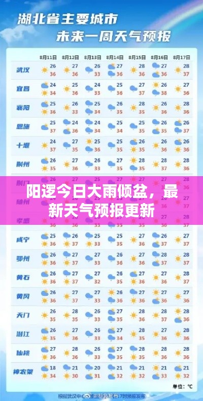 阳逻今日大雨倾盆,最新天气预报更新