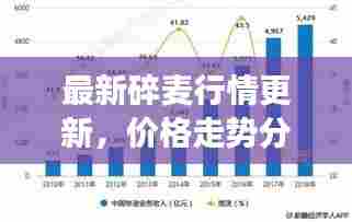 最新碎麦行情更新,价格走势分析与市场消息速递