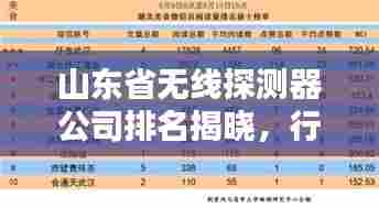 山东省无线探测器公司排名揭晓,行业影响力榜单揭秘