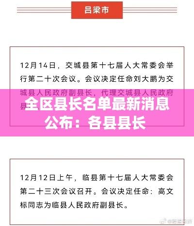全区县长名单最新消息公布：各县县长 