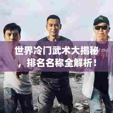 世界冷门武术大揭秘,排名名称全解析!